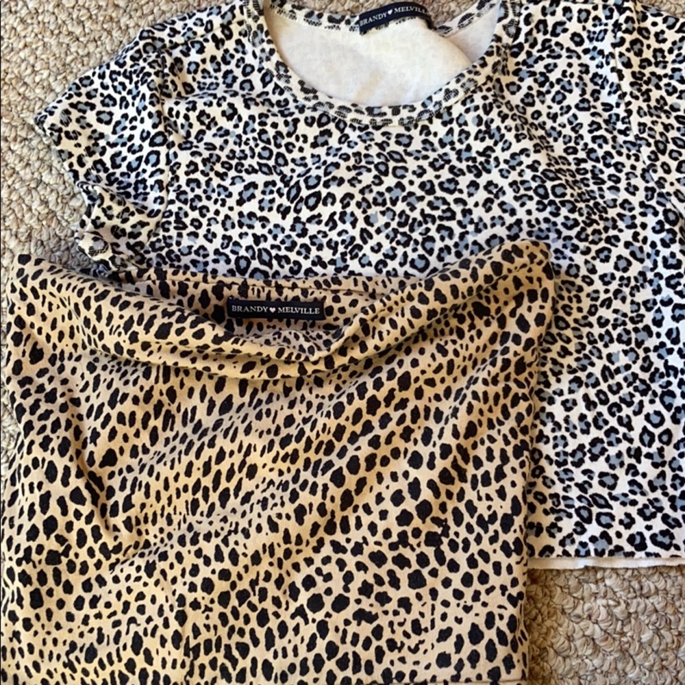 Brandy Melville leopard ashlyn and leopard top